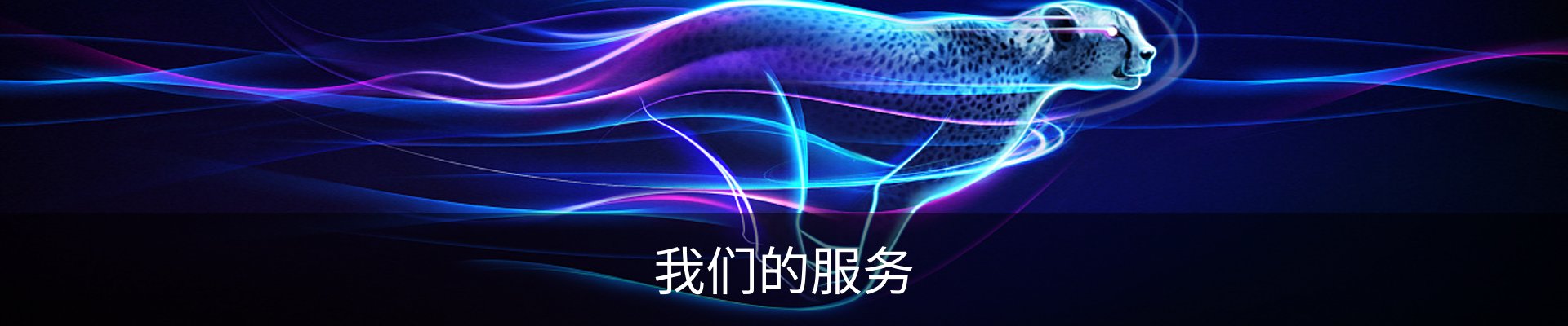我们的服务